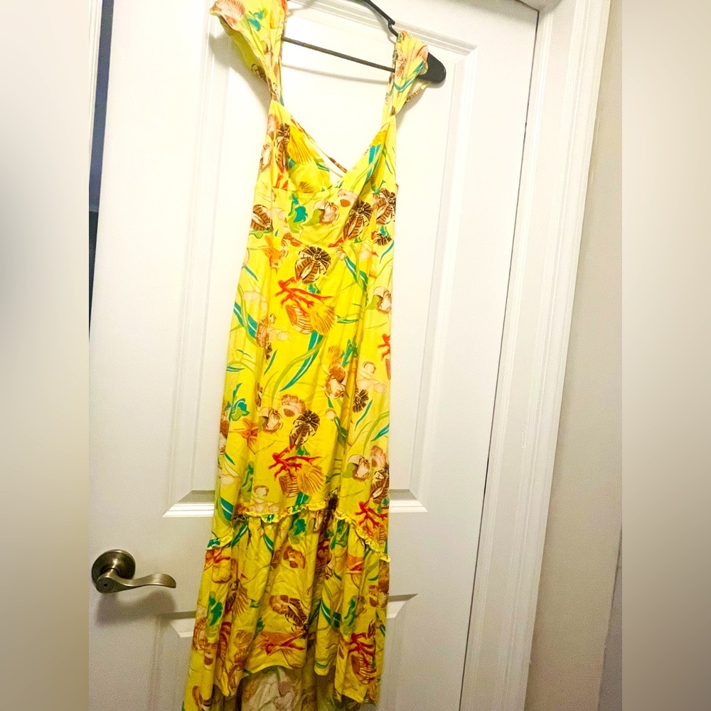Urban outfitters floral maxi dress